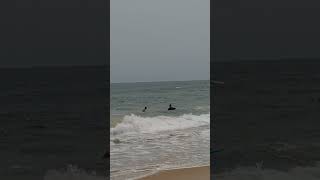 The boys of summer at Kitty Hawk North Carolina  Oceanside