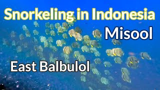 East Balbulol, Misool, Raja Ampat - 4K Snorkeling in Indonesia @Ad0a0m