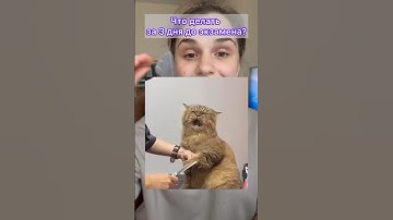 Что делать, если ничего не делал (шпора в тгк) #егэинформатика #11класс #python #питон