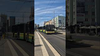 #3585 na 107😀 #zditm #szczecin #sppk #manlionscity #3585 na 107😀 #zditm #szczecin #sppk #manlionscity