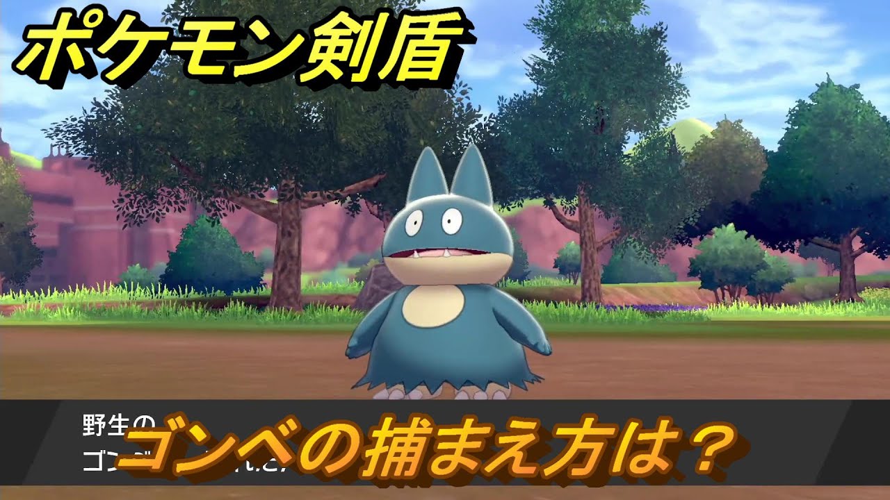 ポケモン剣盾 ゴンベを捕まえる方法!オススメの場所は?天気は?ポケモン図鑑コンプへの道! 最新版【ポケモンソード・シールド】 - YouTube