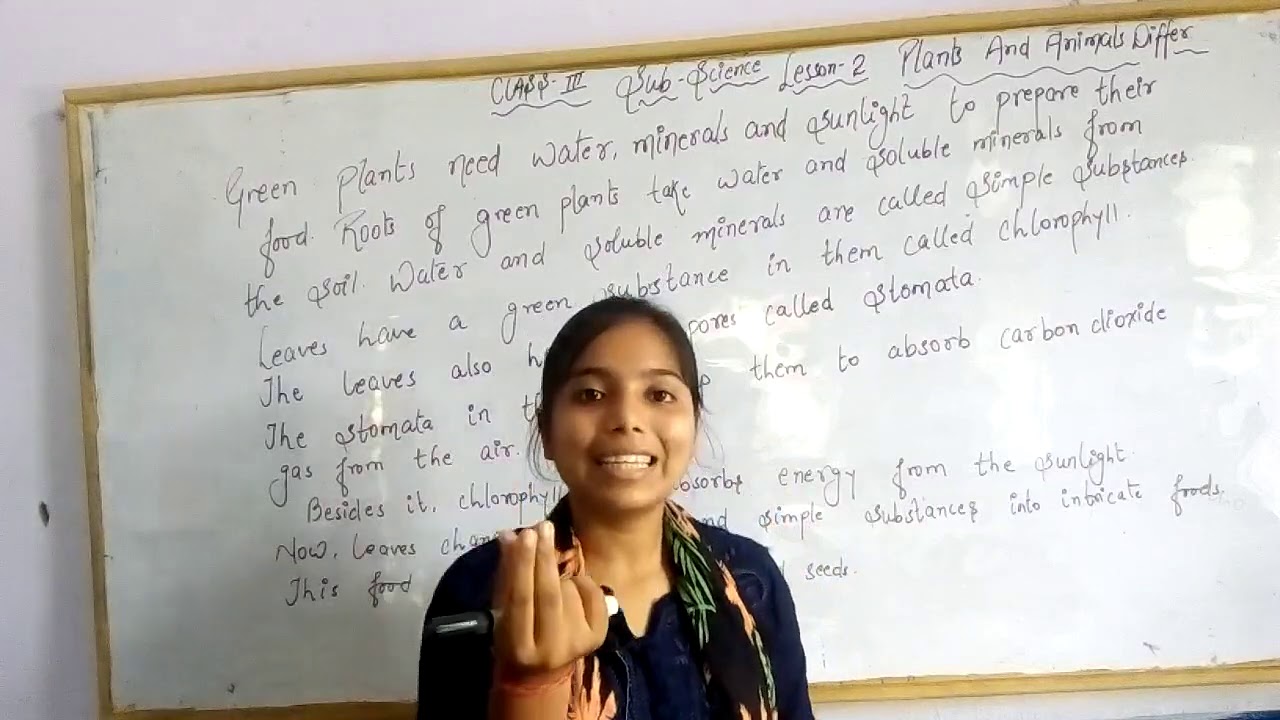 Plants and Animals Differ Class3 Chapter1 Part1 YouTube