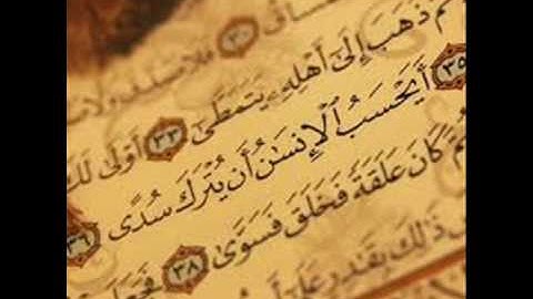 دروس من سورة القيامة