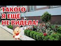 СЛУЦК - город КРАСОТЫ!