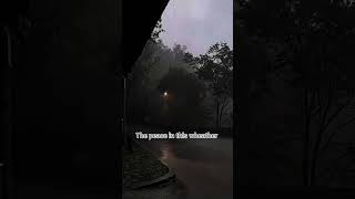 The peace in this wheather #rainy