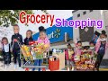 Grocery Shoppingwith the kids &amp; My twin sister