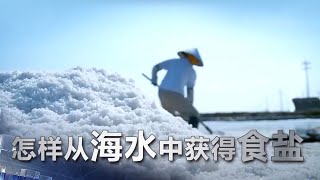 怎样从海水中获得食盐 | 科学实验室