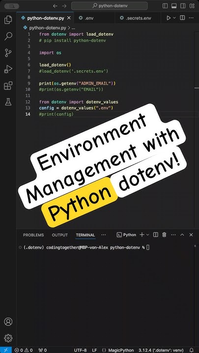 How to use Environment Variables in Python? #python #programming # ...