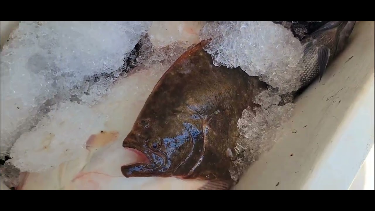 7-17-22 Virginia Beach 