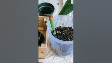🧪 Is Your Soil Ready Test It at Home!#SoilTest #GardenScience #GrowSmarter  #soilhealth