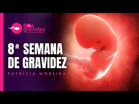 8 SEMANAS DE GRAVIDEZ - Gravidez Semana a Semana