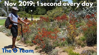 November 2019 | 1 Second Every Day | The O Team | Van Life Australia