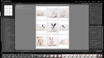 Making a Contact Sheet in Lightroom