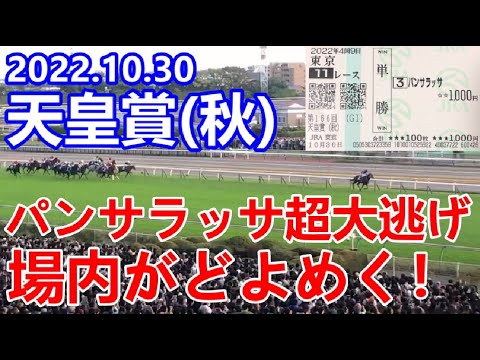 【競馬】天皇賞(秋) 2022 パンサラッサの超大逃げに場内がどよめく！！【現地映像】【天皇賞秋 2022 イクイノックス】
