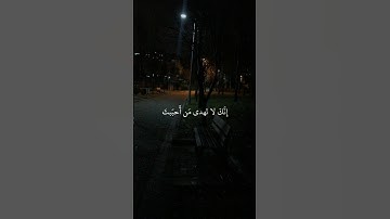 إنك لا تهدي من أحببت | #ياسر_الدوسري #قرآن #تلاوة #القرآن_الكريم #راحة_نفسية #قرآن_كريم #اسلاميات