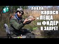 Ловля Карася и Леща на Фидер весной в нерест