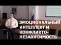 Вадим Лёвкин - Эмоциональный интеллект.mp4