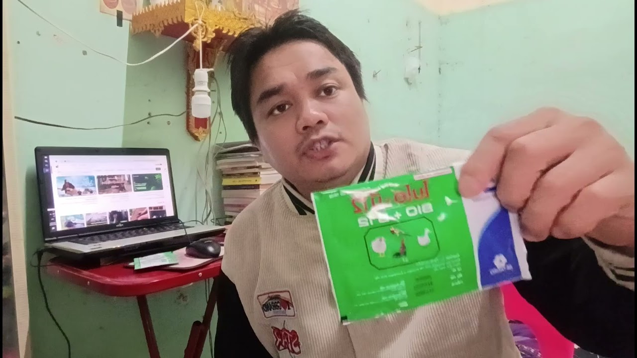 ကြက်မွေးသမားတိုင်း ဆောင်ထားသင့်တဲ့ဆေးကောင်း၂လက်