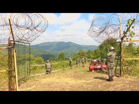 Границу между Северной и Южной Кореей начали разминировать
