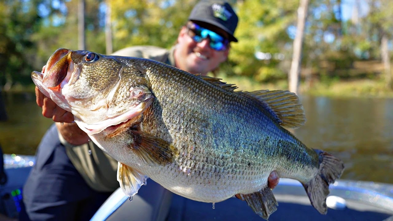 5 with Walters, Best bait ever! Milliken giant bass insight – BassBlaster
