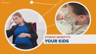 Connect the Dots: How does stress affect a pregnant mother?