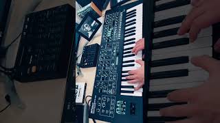 Roland System 8 Synth’s bass by @nicolasmelis08 #shorts #synth