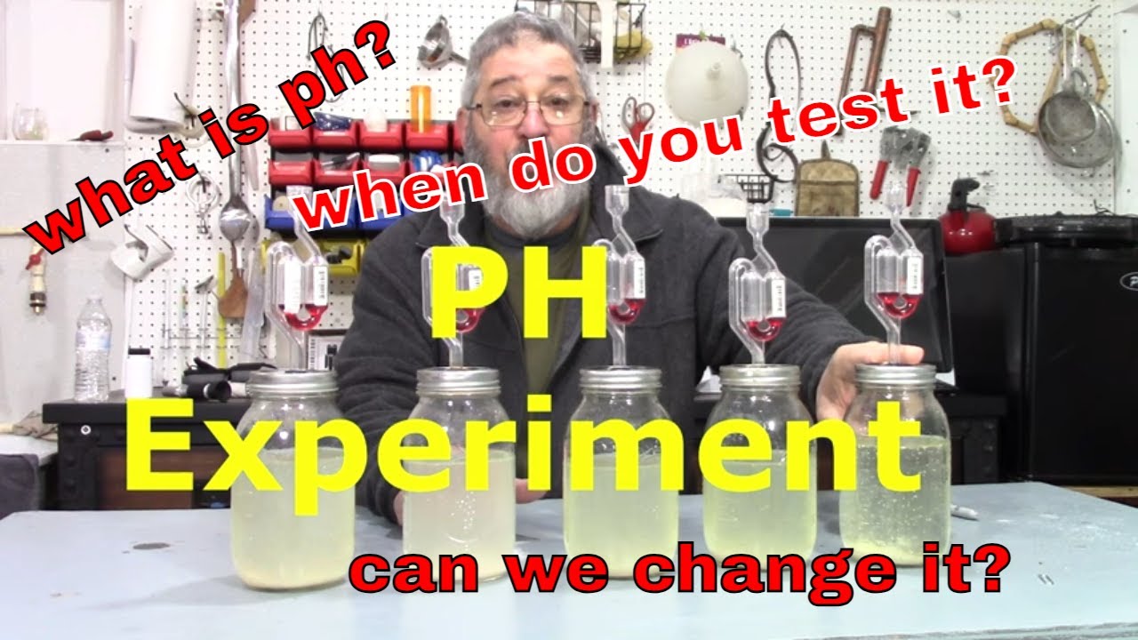 PH Experiment - YouTube