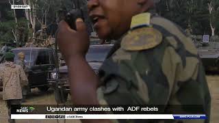 Uganda, DRC armies  hit ADF camps