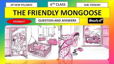 Q&A | THE FRIENDLY MONGOOSE | SUPPLEMENTARY READER | 6TH ENGLISH | AP NEW SYLLABUS | CBSE | ENGRALIT
