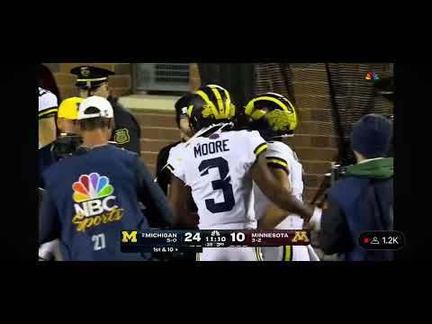 J.J McCarthy to Roman Wilson for 34 Yards