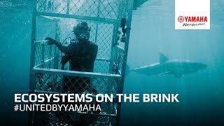 EP. 9 Ecosystems on the Brink | #UnitedByYamaha | Short A