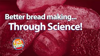 Let's Bake! The Science Behind AMAZING Homemade Bread