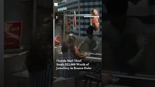 Florida Mall Thief Steals $22,000 Worth of Jewellery in Brazen Heist | N18G