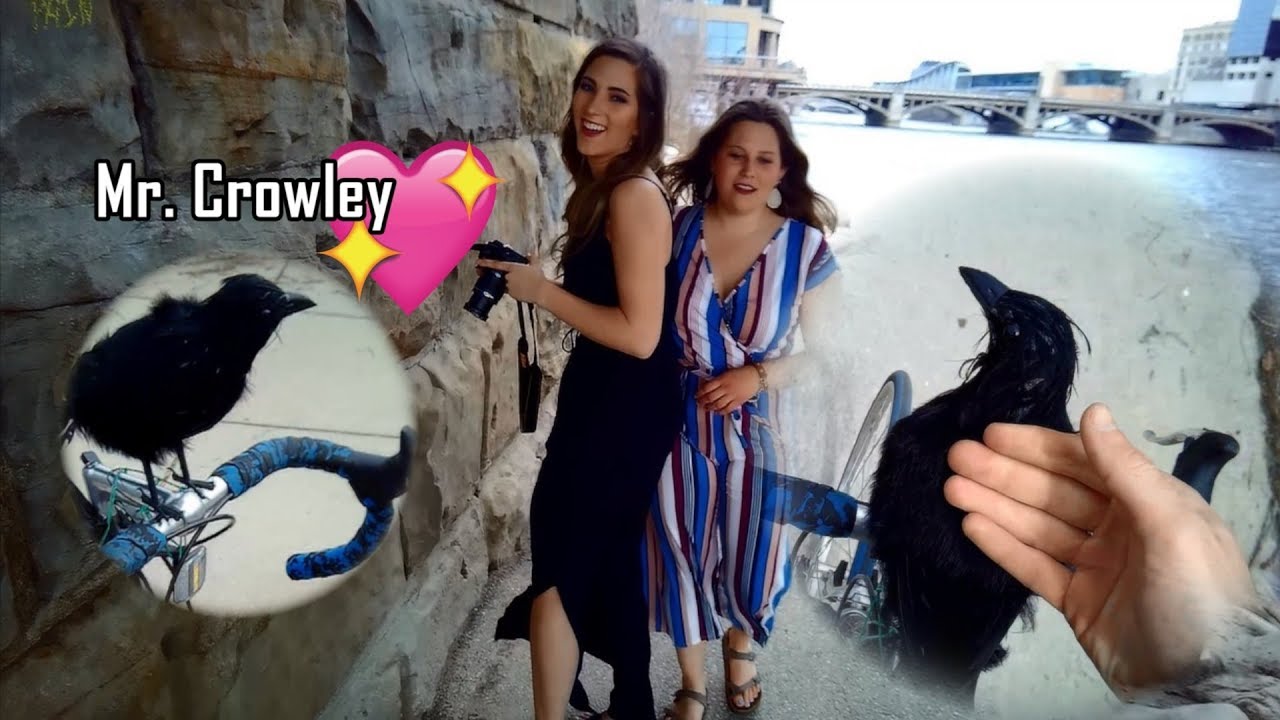 You can pet him - YouTube