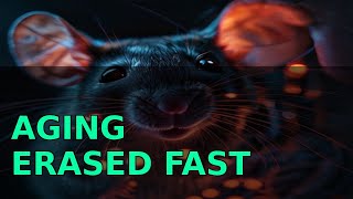 Why 30% is the secret to mouse longevity