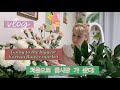 [국제커플]한국에서 제일 큰 꽃시장에 처음 가본 러시아 여자! / Going to Seoul flower market / цветочный рынок в Корее