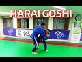 Harai Goshi (+ Combos) by 8th Dan Korean Judo Master (허리후리기)