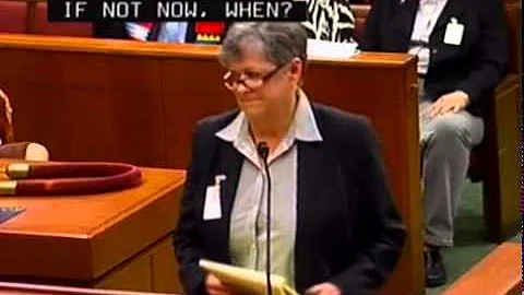 Terri Burke HERO Testimony May 13, 2014