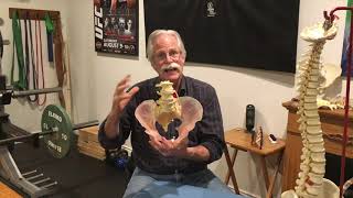 Stuart McGill Explains Spine Instability & Core Stability