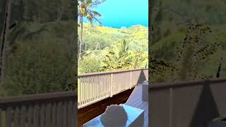 Wow! Kapaa Estate 2.84 acres for sale now! Exotic gardens, 91 fruit trees, pool-SWEET!