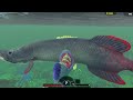 Zombie Pike Rework - River (hard) Feed And Grow Fish