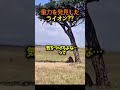 ライオン、まさかの物理デビュー