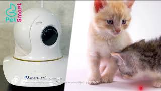 Pet Camera with laser screenshot 1