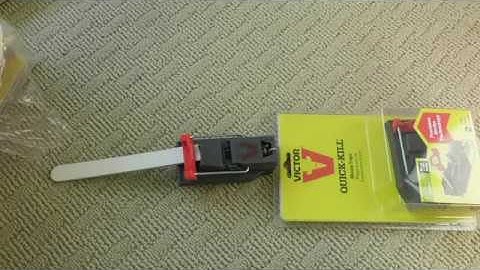VICTOR quick Kill mouse Trap review