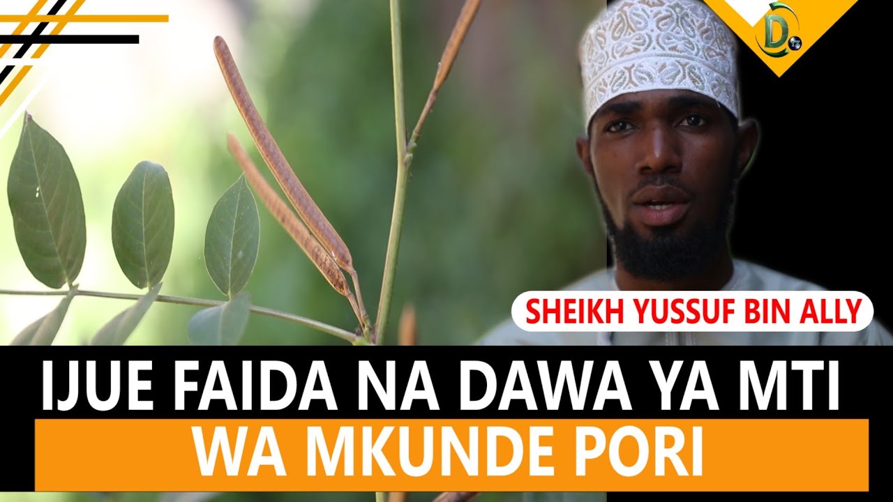 IJUE FAIDA NA TIBA YA MTI WA MKUNDE PORI |SHEIKH YUSSUF BIN ALLY