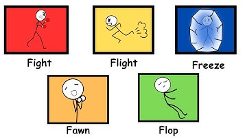 Every Trauma Response Explained in 4 minutes