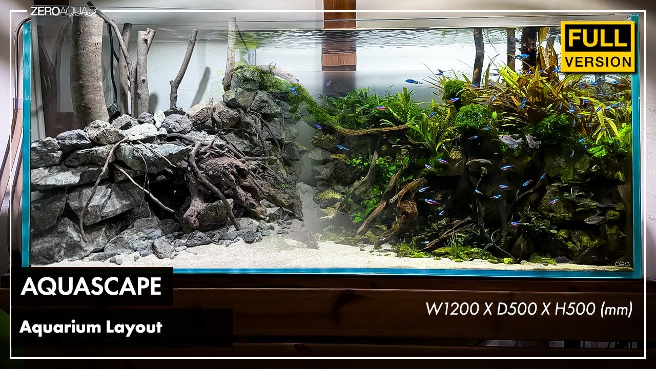 120cm水槽を作る。立ち上げから完成まで/アクアリウム/aquarium/120cm/vlog/