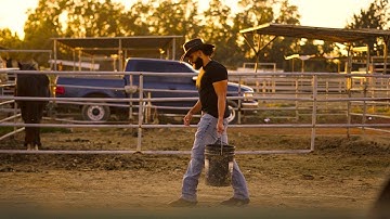 Sugar - Cold Blooded (Official Music Video)