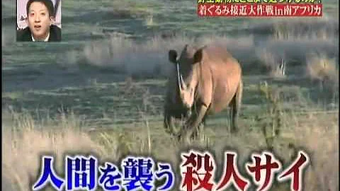 狩野英孝 ワニ Mp3