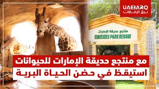 مفاجآت من منتجع حديقة الإمارات للحيوانات في العيد